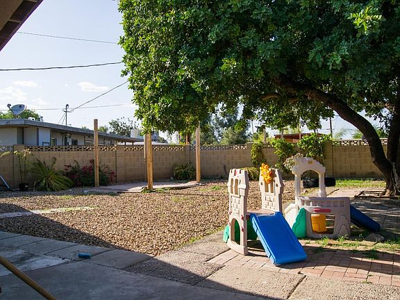 backyard 4