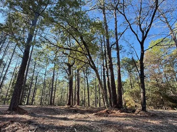 4546 Spruce Ln, Brookeland, TX 75931