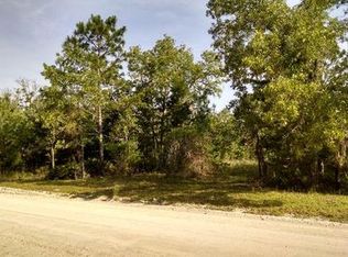 260 NW 96th Pl, Branford, FL 32008
