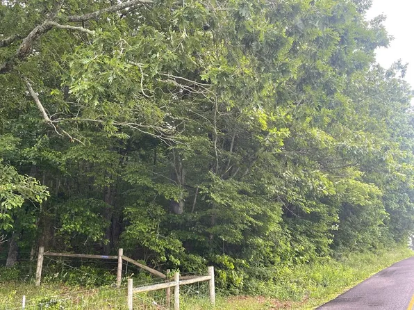 Chantilly Rd, Fancy Gap, VA 24328