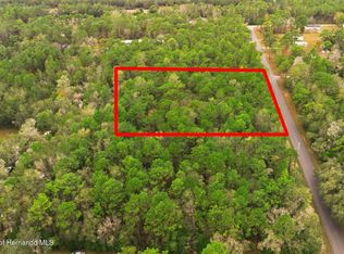 LOT 4 Blair Ave, Brooksville, FL 34604