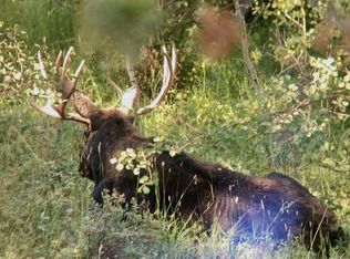 981 Beartrap Rd, Red Feather Lakes, CO 80545