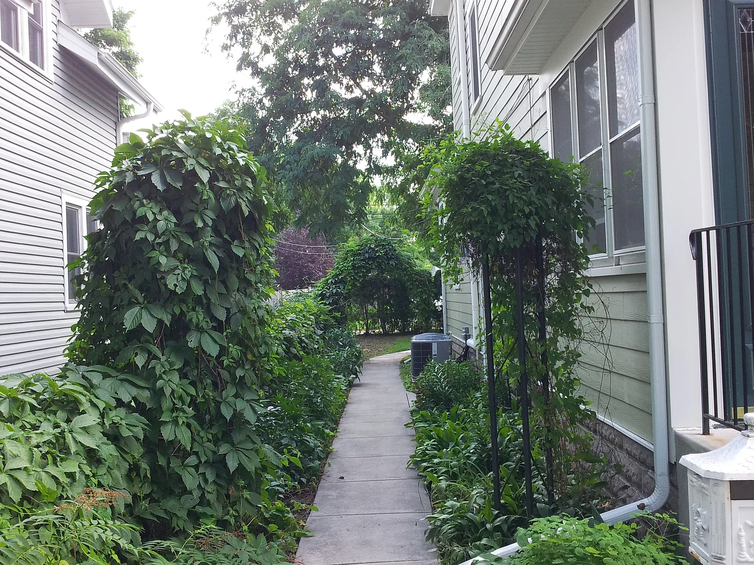 2 bed, 901 sqft, $1,800 — Photo 2