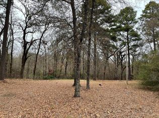 9815 Caddo Lake Rd, Mooringsport, LA 71060