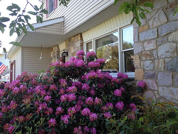Stone and vinyl siding