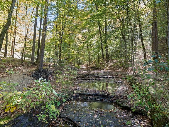 18th image of 5700 Leipers Creek Rd