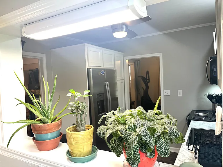 4 Briggs Ave — Photo 10