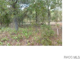 66 Daisy St, Homosassa, FL 34446
