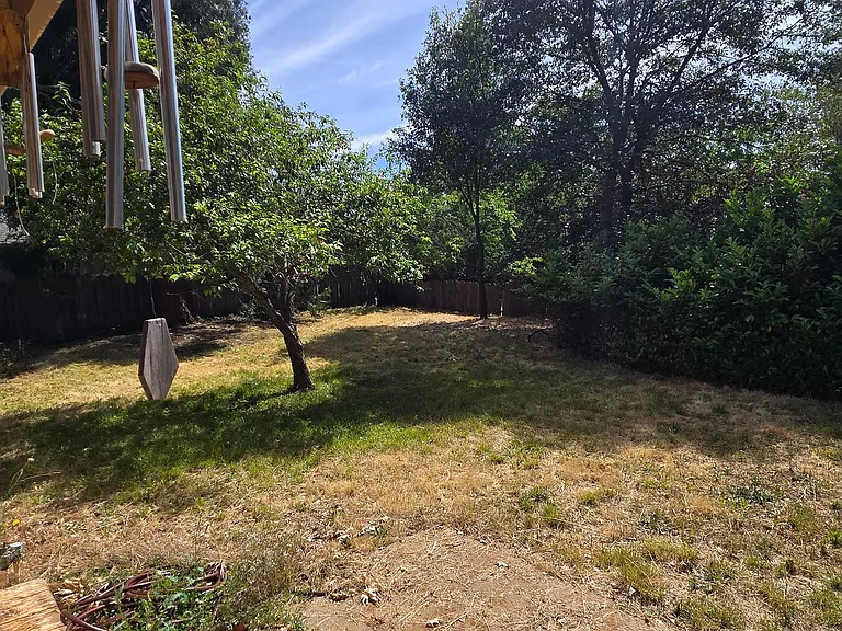 10796 Banner View Dr — Photo 12