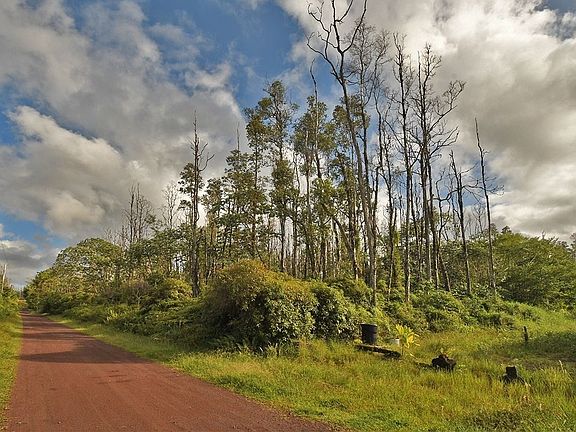 4th image of Kuhio Dr Lot 50