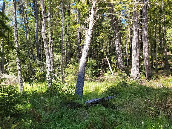 2nd image of 35136 Timber Ridge Road