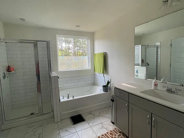 master bath (standing shower +full size bathtub)