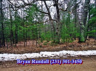 11944 N Rybicki Rd, Free Soil, MI 49411