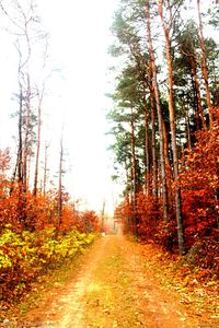 0 W Clouse Rd Parcel 2, Glennie, MI, 48737