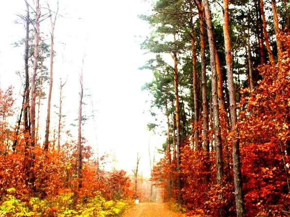 0 W Clouse Rd Parcel 2, Glennie, MI 48737