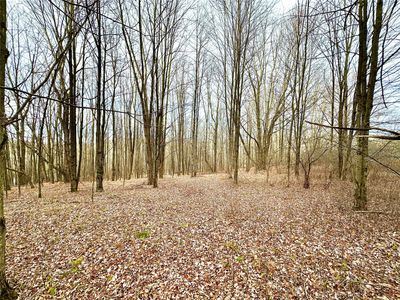 27.2 Parks, Liberty, NY, 12754