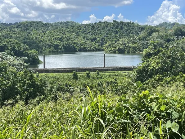Camino Entrada Al Lago, San Juan, PR 00926