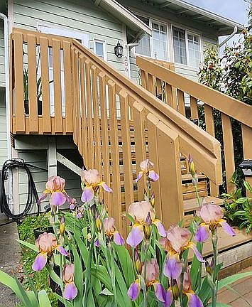 3rd image of 206 Rainier Ave SE