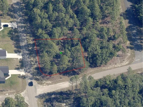 1951 W Adelia Pl, Citrus Springs, FL 34434