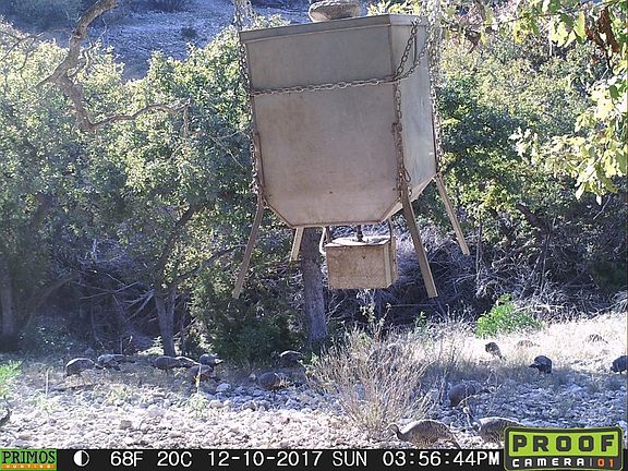 2nd image of 2149 Private Road 3533