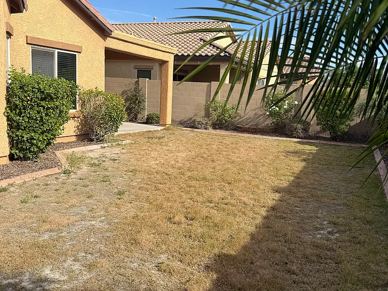 rear yard with rose bushes & hibiscus