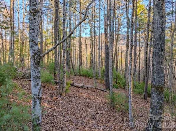 Lots 37 & 38 Settlers Ridge Rd, Hendersonville, NC 28739