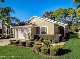 14436 Silversmith Cir, Spring Hill, FL 34609