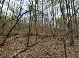 0 Auraria Rd TRACT 8, Dawsonville, GA 30534