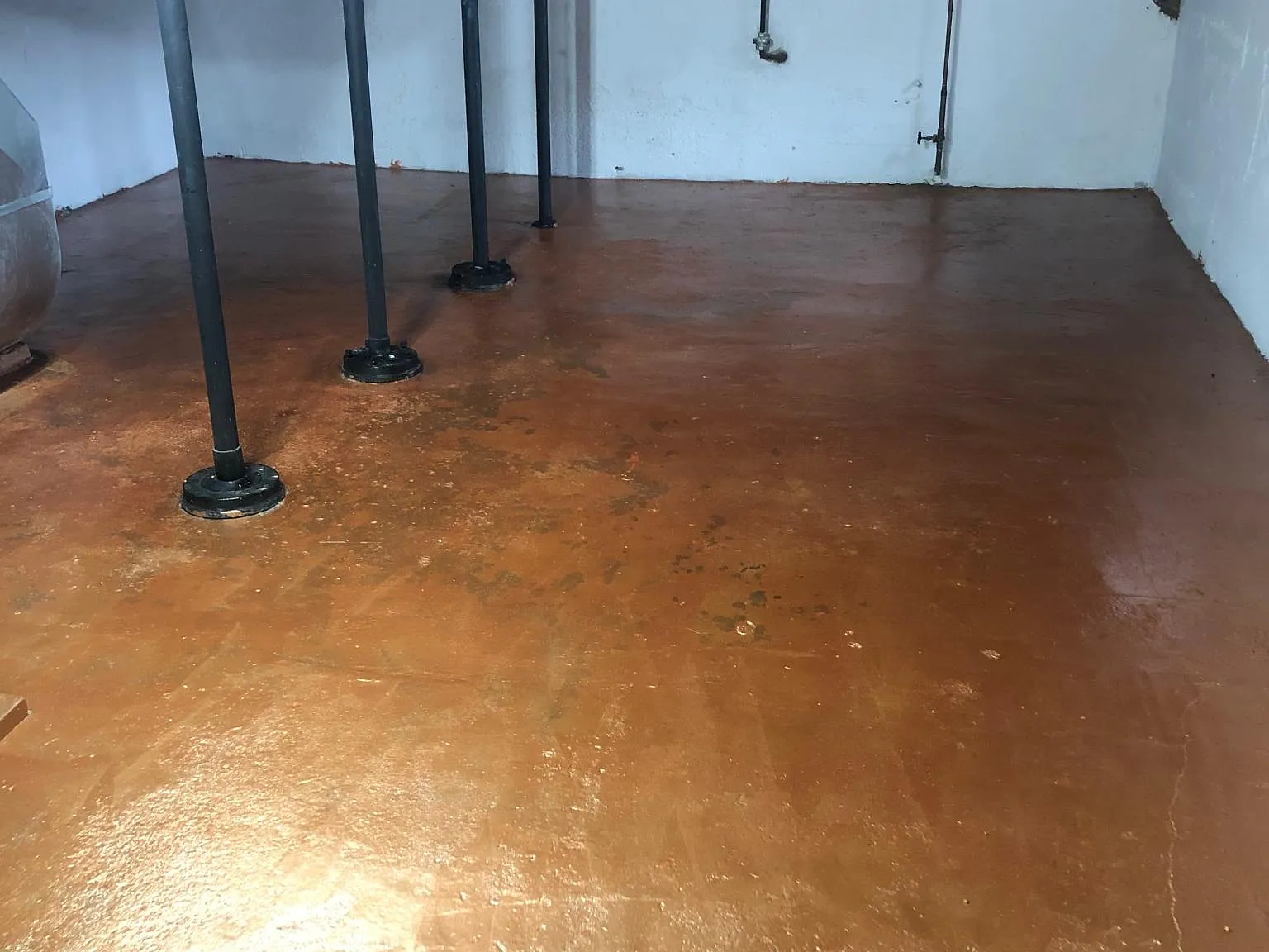 1 bed, 800 sqft, $925 — Photo 2