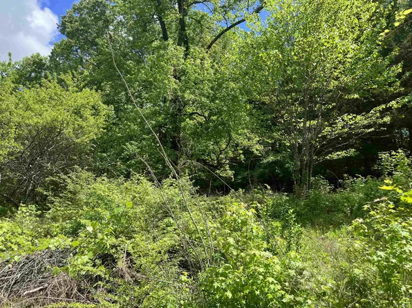 310 Sawdust Trl, Scotts Hill, TN 38374
