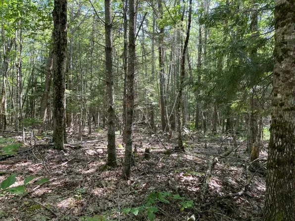 Lot 7C West Neck Road, Nobleboro, ME 04555