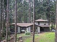 Nestled in the trees
