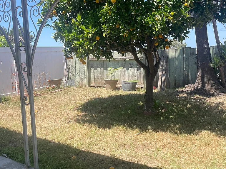 6524 Alcala Knolls Dr — Photo 12
