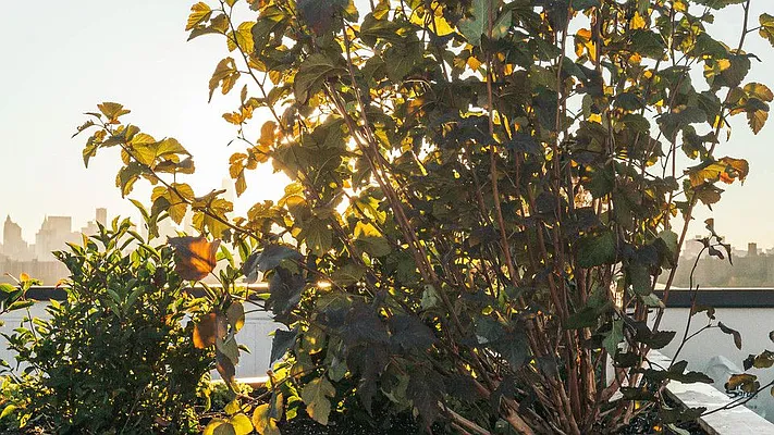 Rented by Nooklyn NYC LLC | media 5