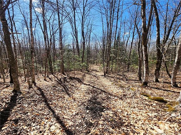4th image of 47960 Homestead Rd