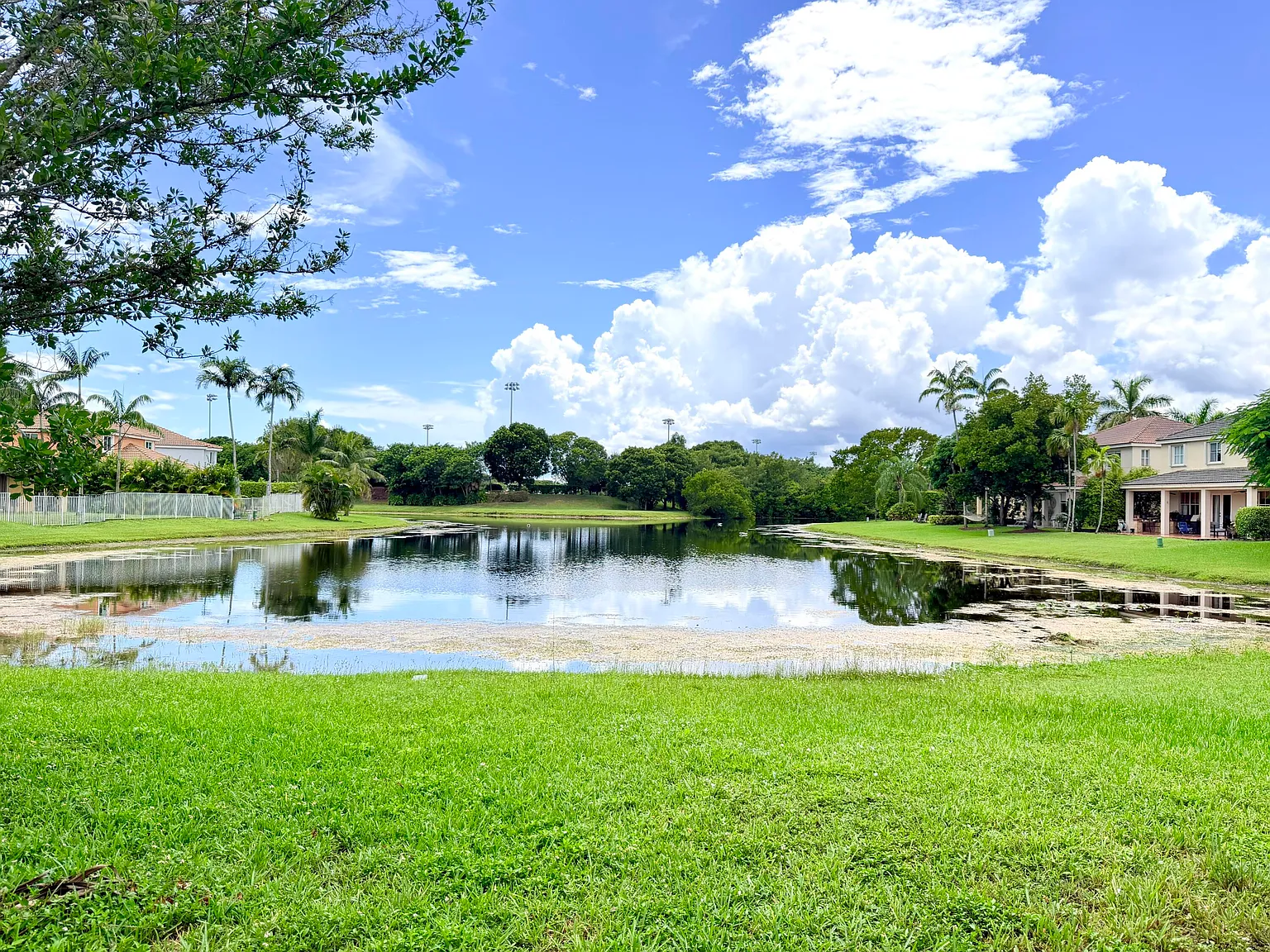 3 bed, 2.0 bath, 1434 sqft, $3,980 — Photo 2