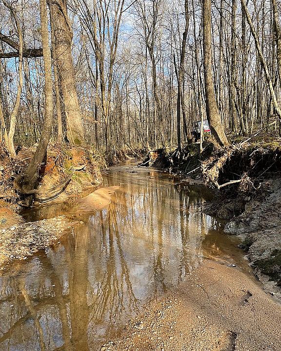 Beautiful creek on property 