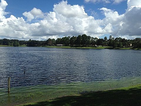 3rd image of 310 W Lake Victoria Cir