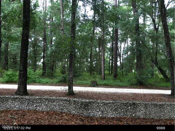 52 Mission Dr SE, Darien, GA 31305