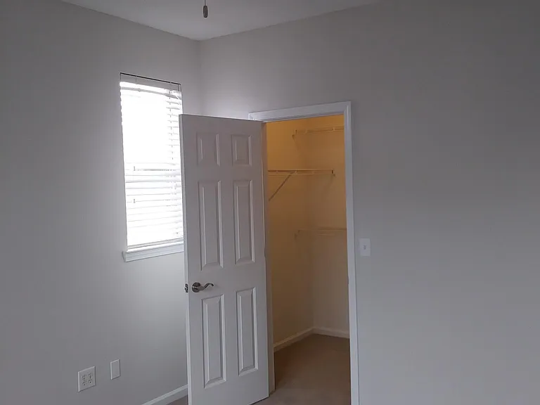 Back Bedroom, Walk-in Closet