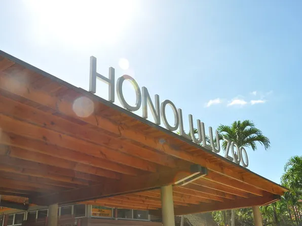 3145 Castle St #M, Honolulu, HI 96815