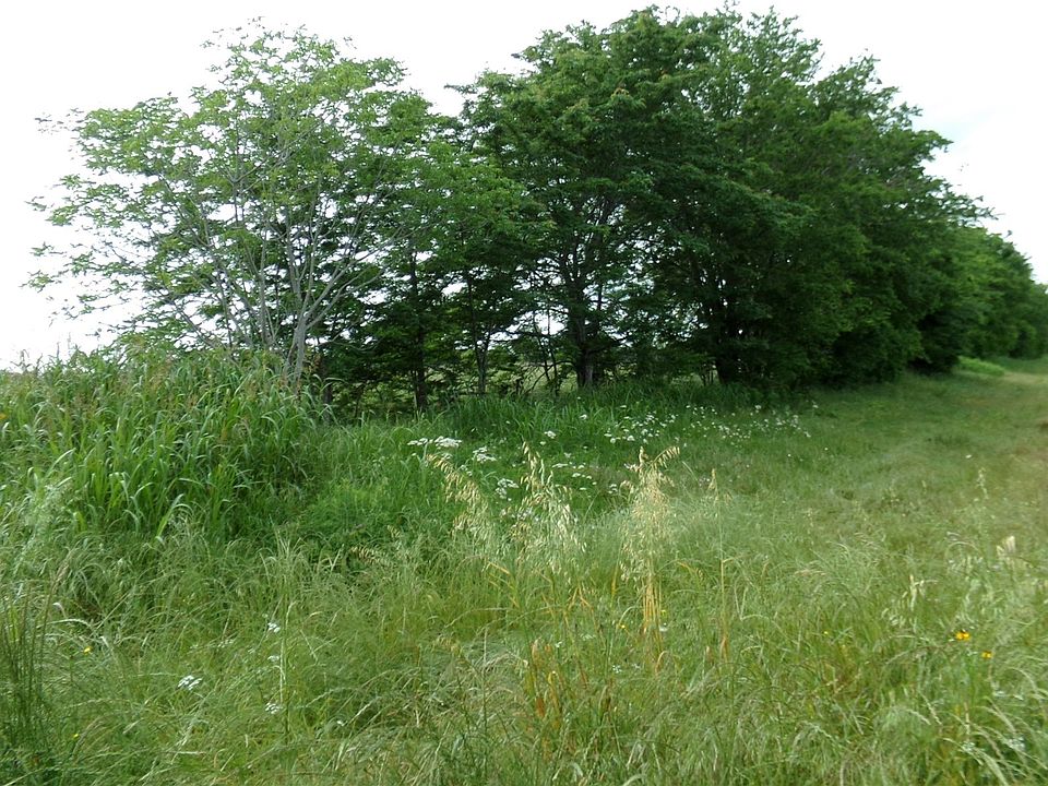 1st image of Fm 2653 N
