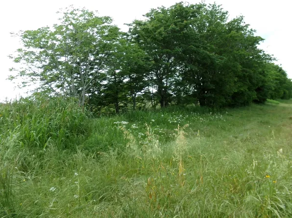 Fm 2653 N, Sulphur Springs, TX 75482