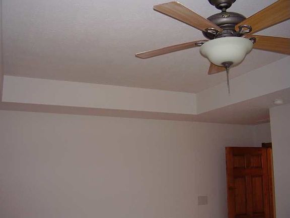 Tray ceiling in the master bedroom