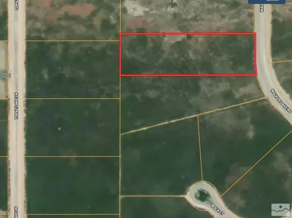 22275 Walker Lake Rd, Lovelock, NV 89419