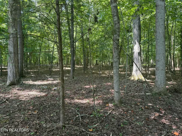 133 Padstow Ln, Lenoir City, TN 37772