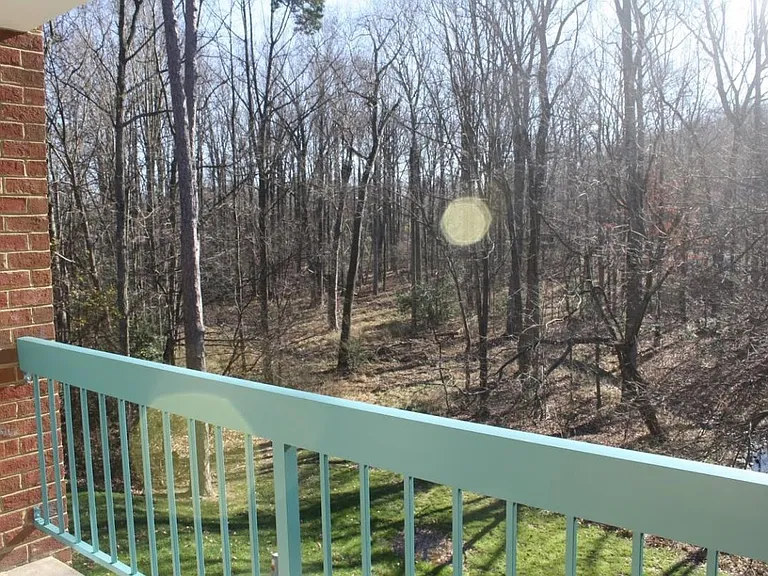 11841 Shire Ct #22 — Photo 13