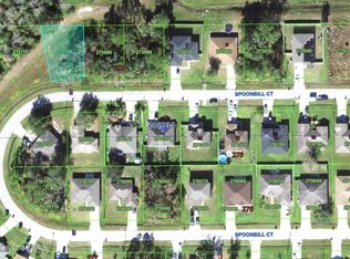 00-0 Spoonbill Ct, Kissimmee, FL 34759