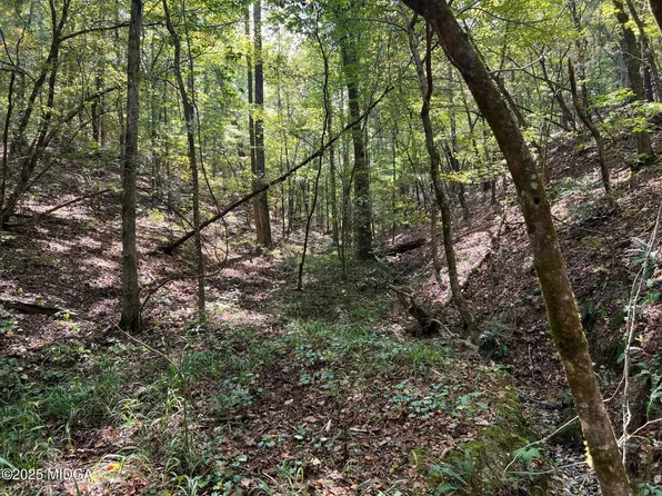 0 White Graves Rd, Chatsworth, GA 30705
