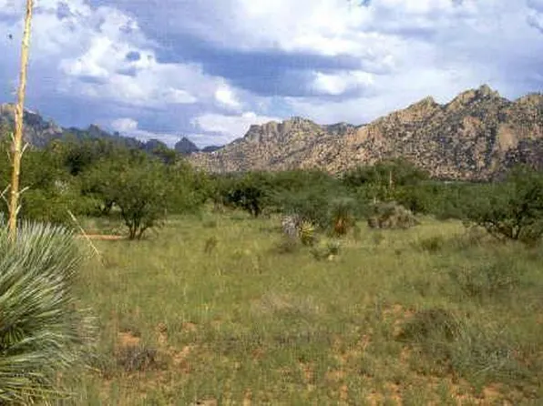 0 E Cougar Trl #96, Saint David, AZ 85630
